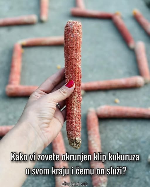 Kako se kaže: čokot, ili drugačije? — slika 4