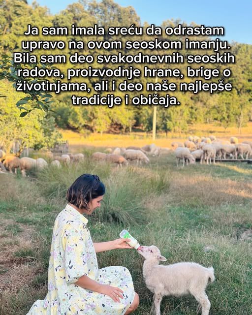 Jesmo li zaboravili kako izgleda naše selo? — slika 4
