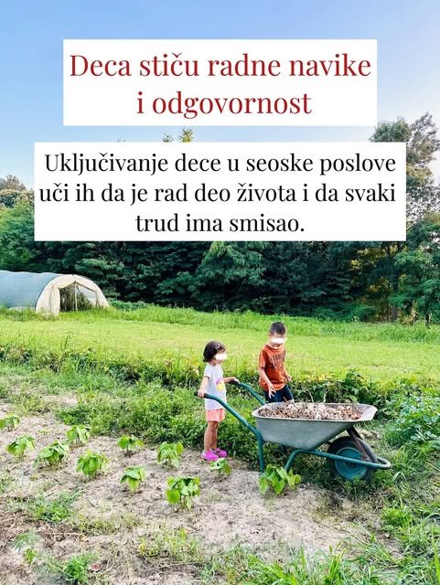 Kako jedan dan nedeljno na selu oblikuje detinjstvo? — slika 4