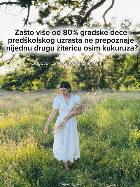 Deca ne znaju mnogo vrsta žitarica sem kukuruza