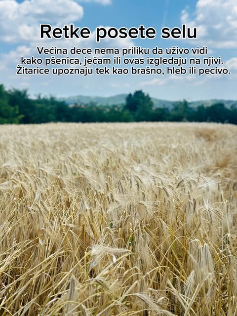Zašto deca znaju samo za kukuruz? — slika 2