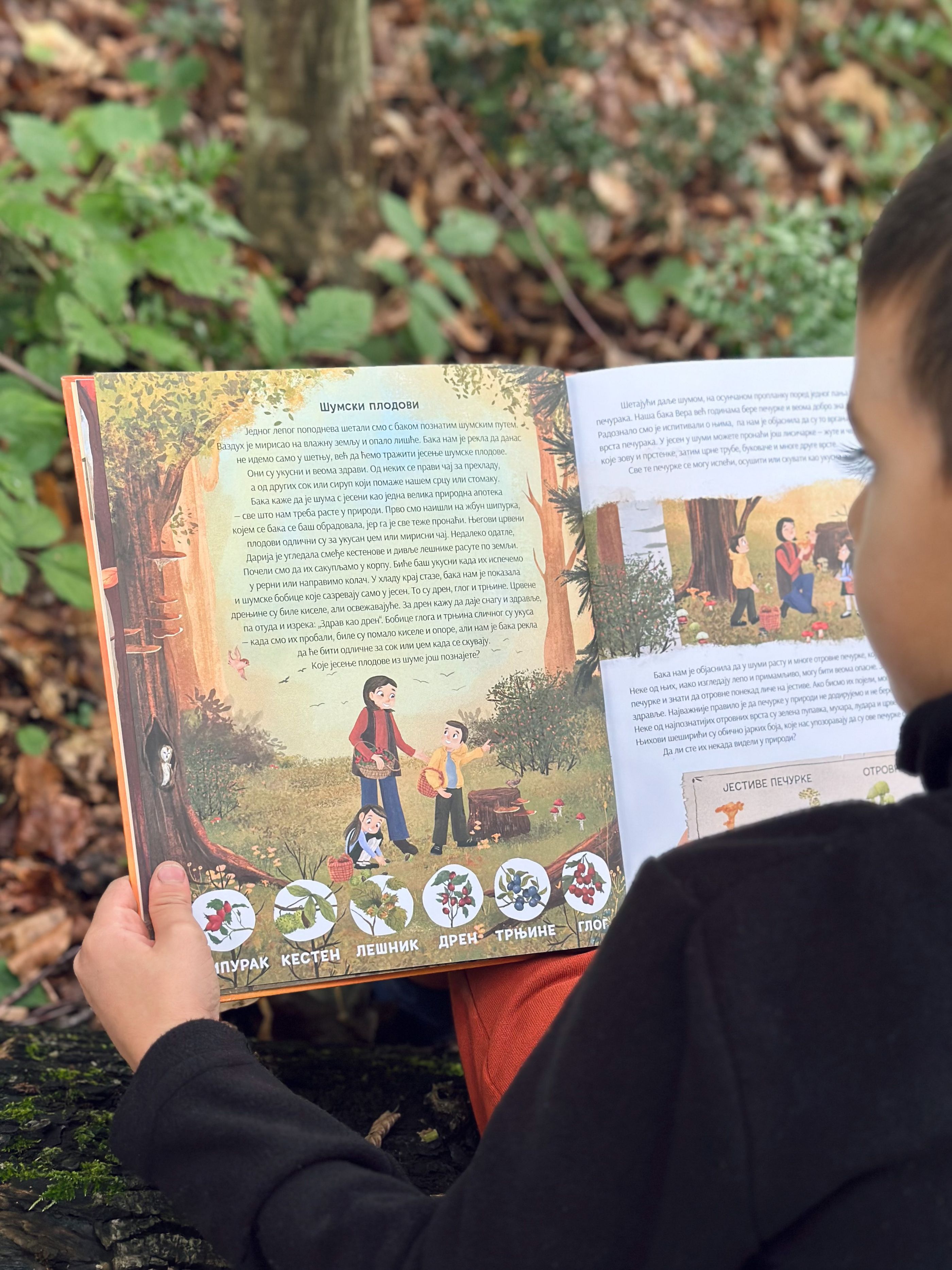 Slika knjige 'Jesen na našem selu' - šumski plodovi'