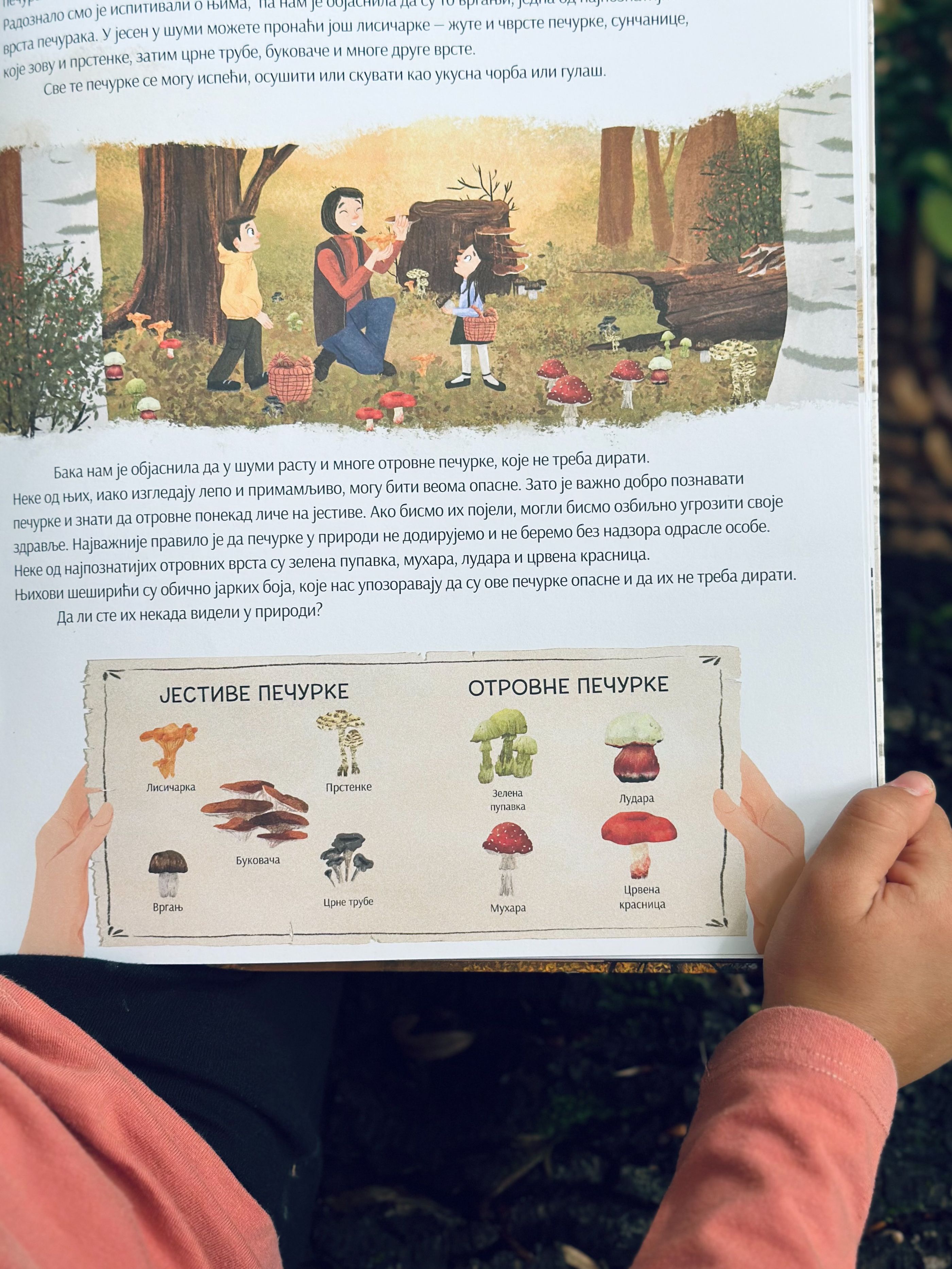 Jestive i otrovne pečurke iz knjige 'Jesen na našem selu'