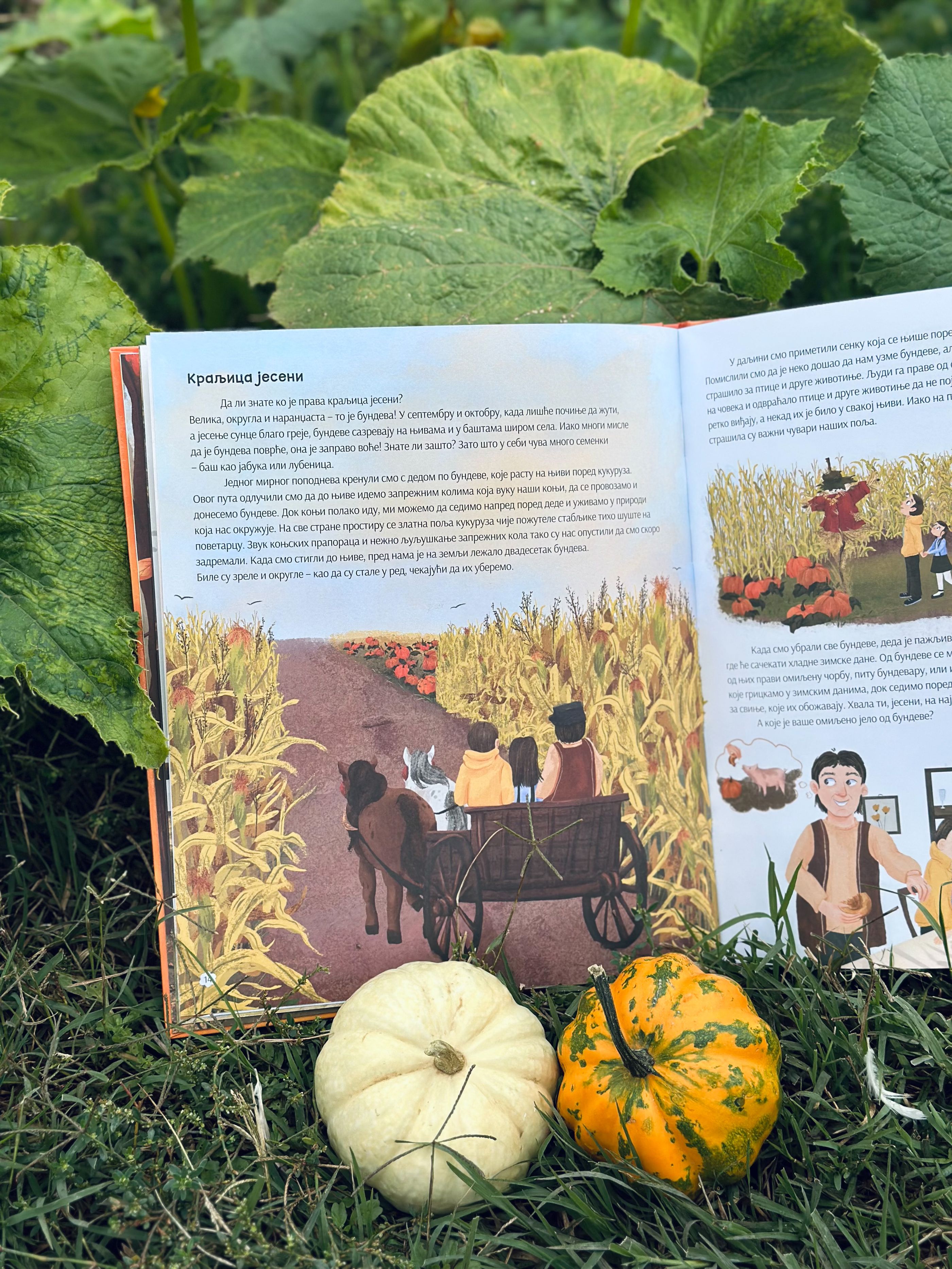 Bundeva-kraljica jeseni iz knjige 'Jesen na našem selu'